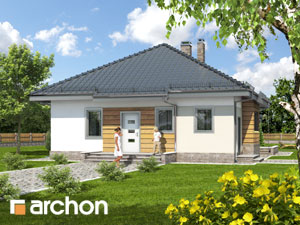 Dom w dereniach - Widok 4